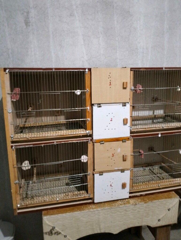 kuş üretim kafesi - 2
