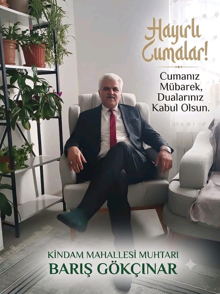 koltuk takımı modelleri ve renkleri - 13