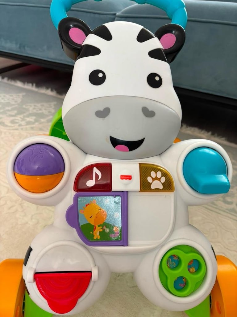 fisher price yürüme arkadaşı