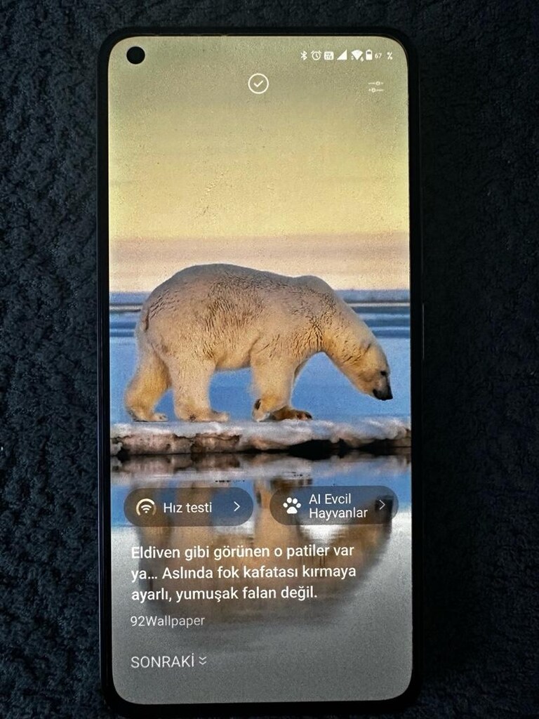 Mi 11 Lite 5G NE 256Gb - 12