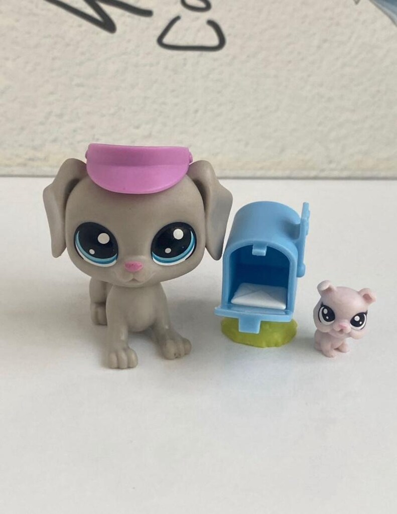 postacı köpek miniş - 3