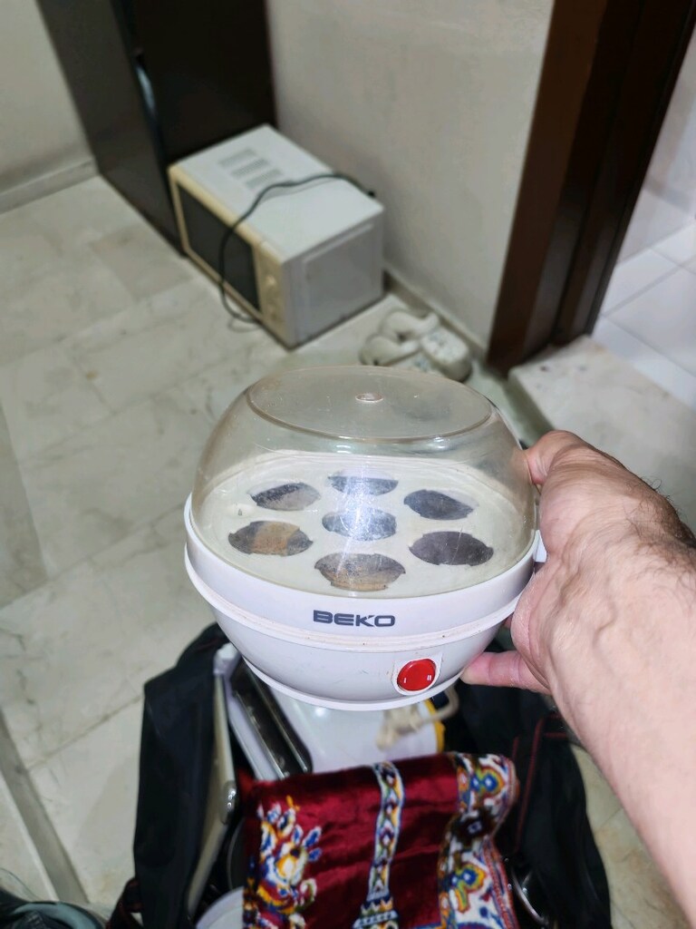 yumurta haşlama makinesi yer buca - 2