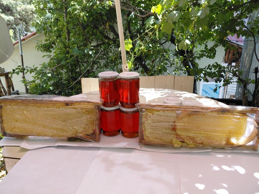 Bolu Bal Üretim Ormanı - 2