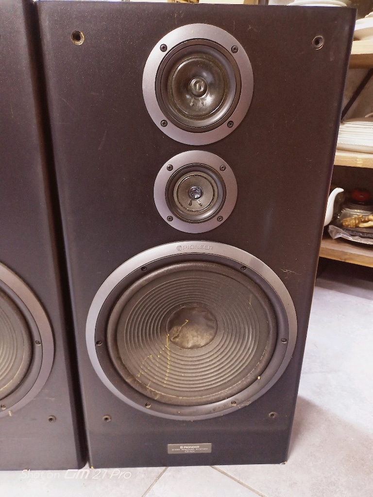 Pioneer CS 901 iki adet kolon - 4