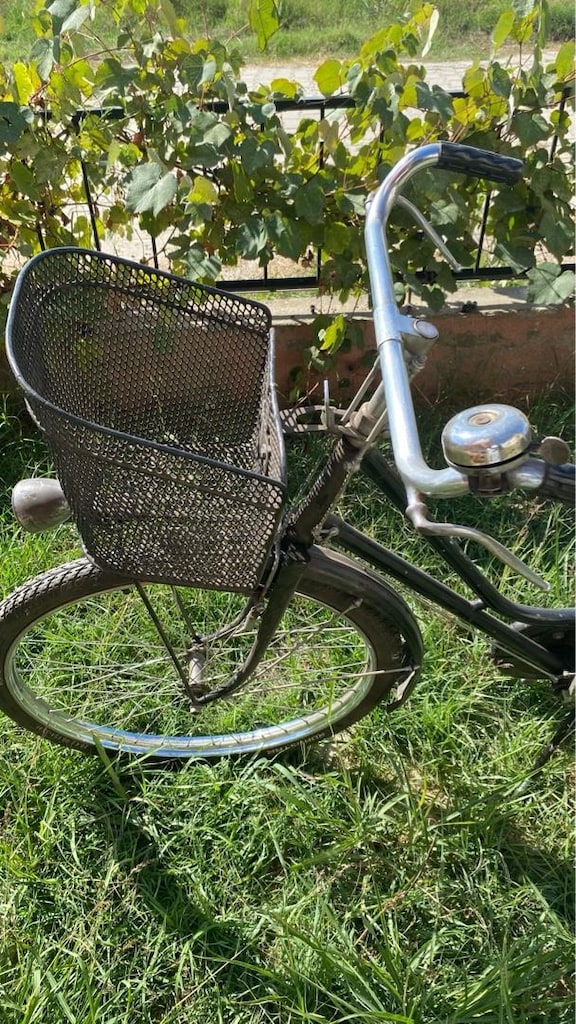 Nadir 1950'ler Orijinal Bianchi Klasik Şehir Bisikleti - 9