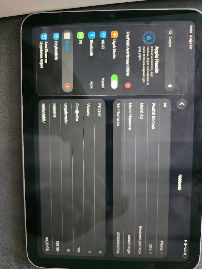 İPAD MİNİ - 3