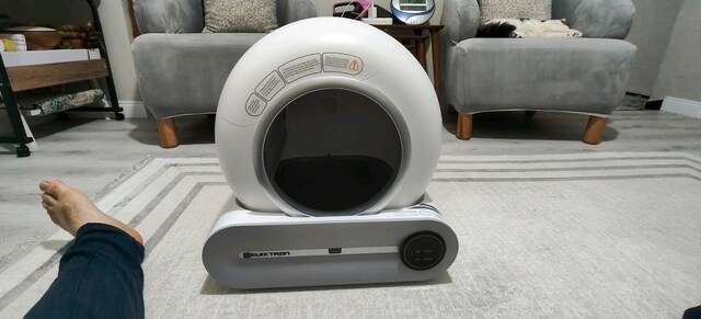 Elektronik kedi tuvaleti