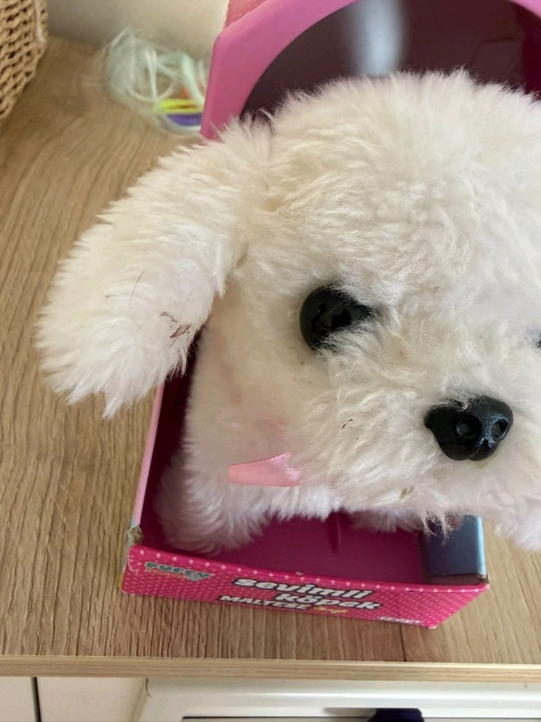 Oyuncak köpek - 4