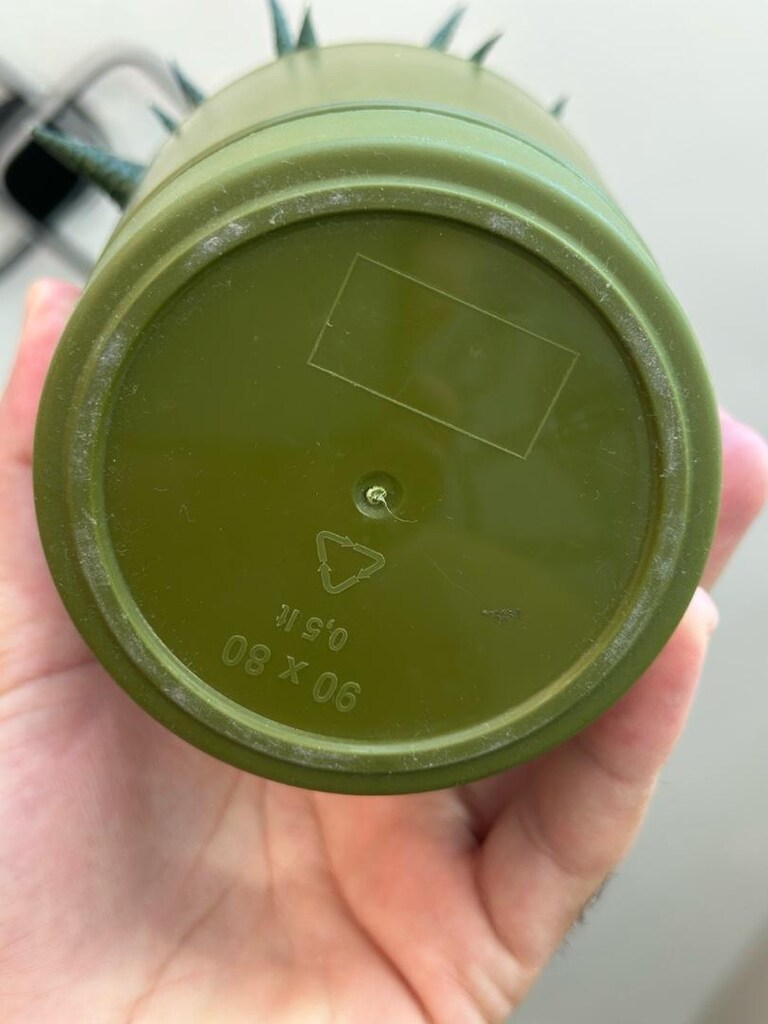 sukulent 0,5 lt lik poliwork saksıda..çiçek.. - 4