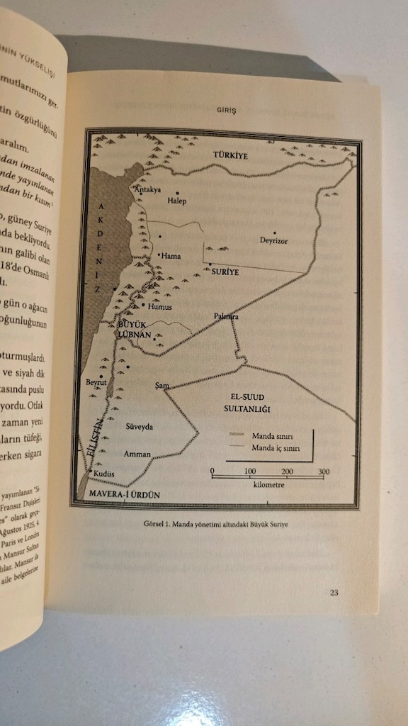 Büyük Suriye İsyanı... Michael Provence. - 4