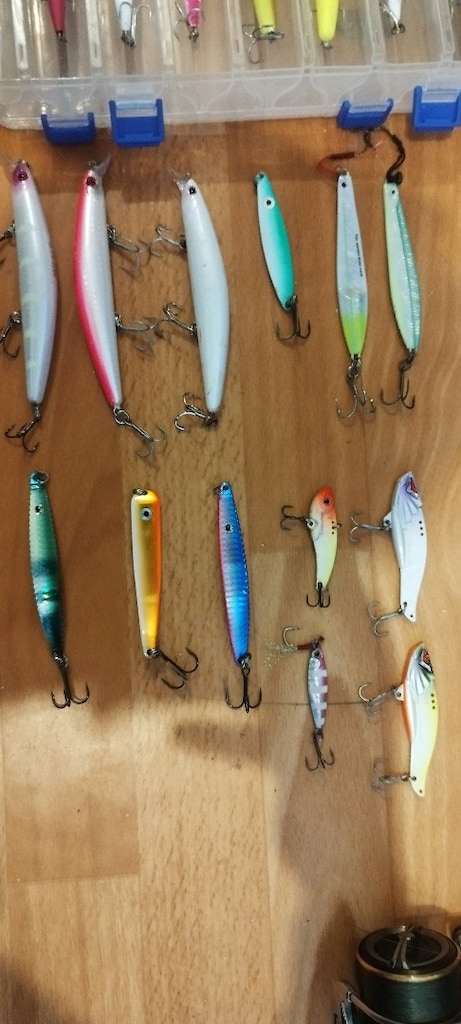 Spin Seti: Daiwa Legalis Seabass 14-56g 2.70 / Daiwa Legalis LT 4000-C - 6