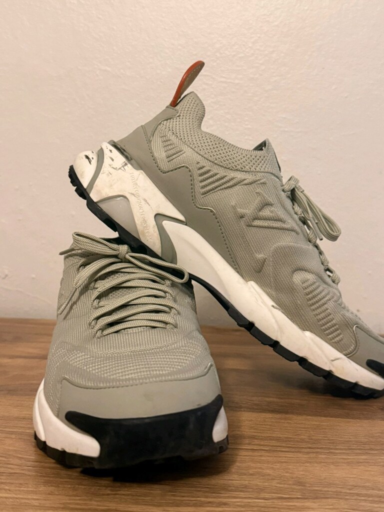 Louis Vuitton Ayakabi