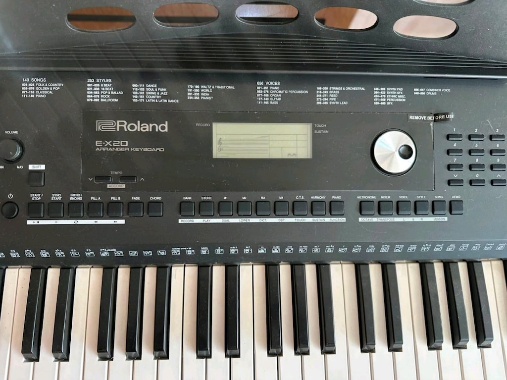 Sıfır Ayarında Jelatinli Roland E-X20 ( Tertemiz) - 3