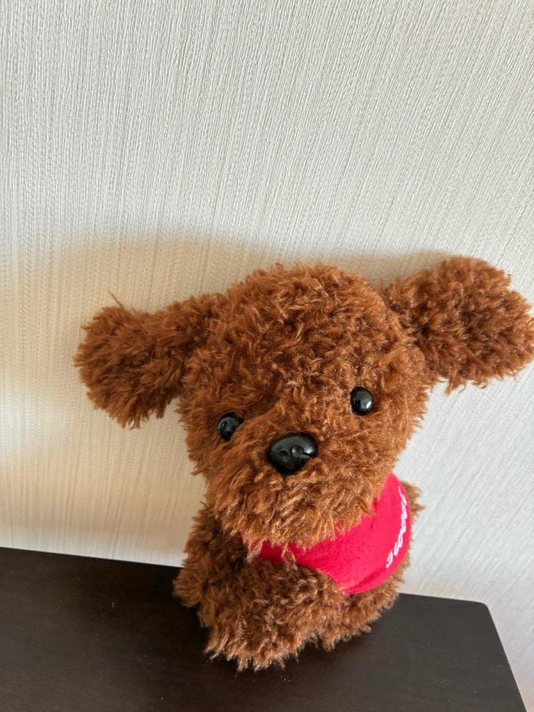 Miniso Peluş Köpek - 2