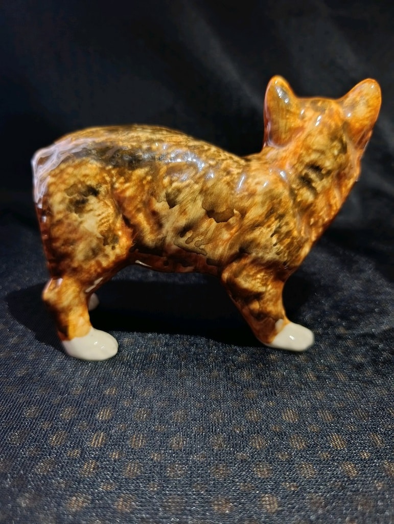 Kedi biblosu - 4