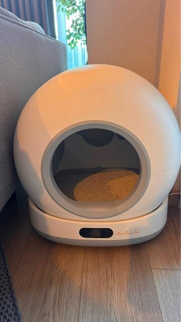 xeon 3 lü kedi malzeme