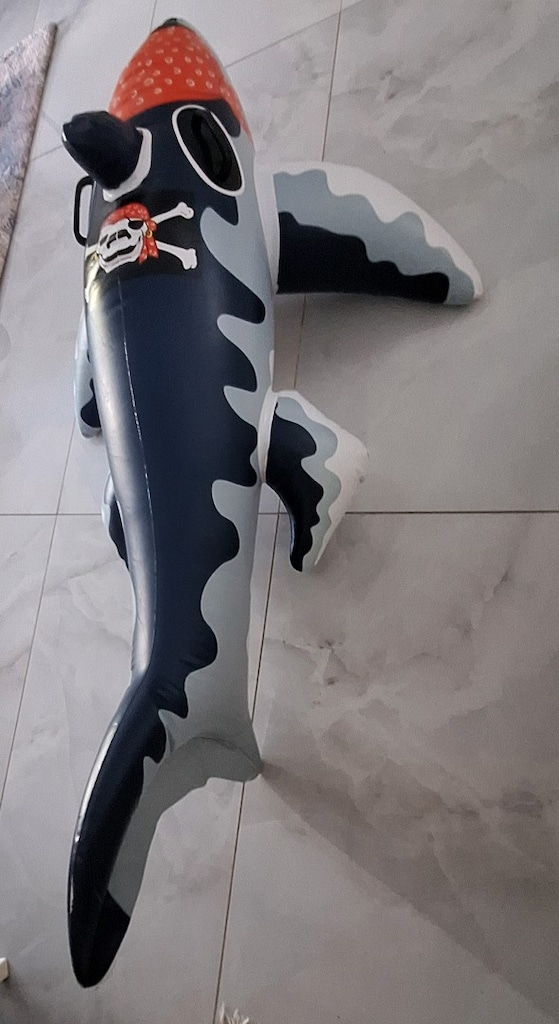 balina deniz simidi - 2