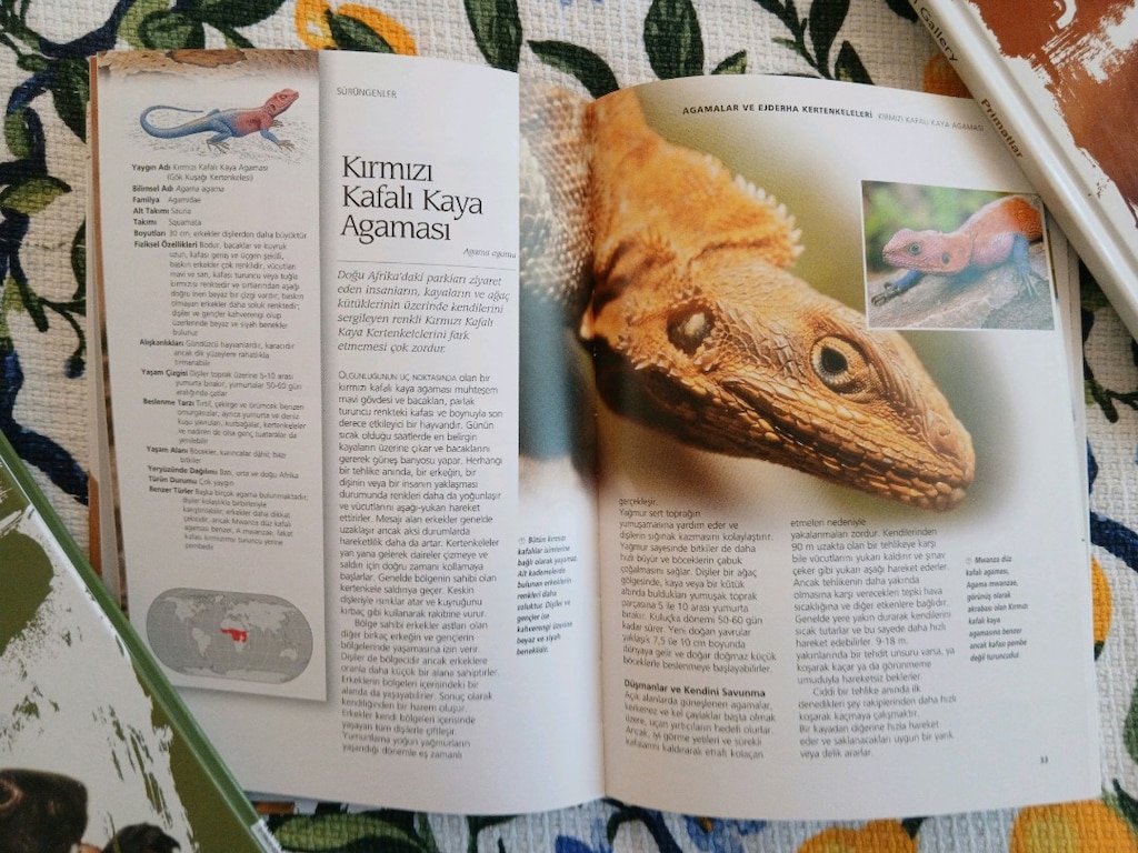 Vahşi Yaşam kitap seti - 6