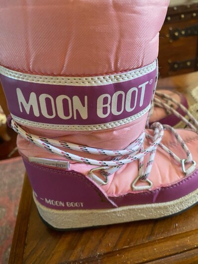 Moon bot