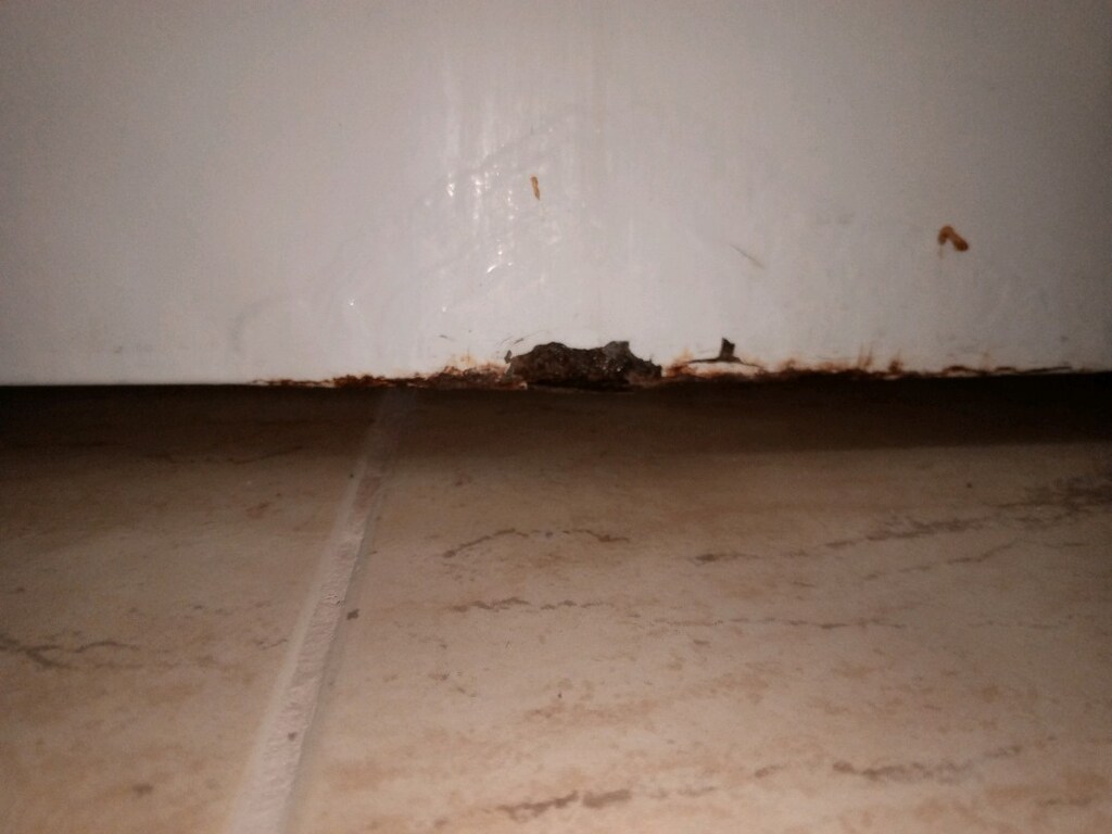 profilo 9 kg çamaşır makinası sorunsuz sağlam - 3