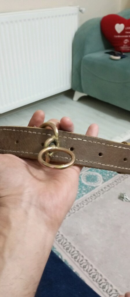 Köpek tasması deri ve zincirinde var - 2