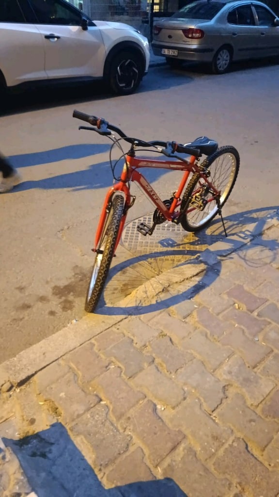 Belderia Pexma Bisiklet 26 jant Çelik kadro - 2