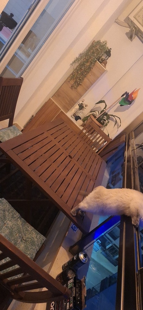 balkon masası sandalyeleri ve kedi malzemeleri - 4
