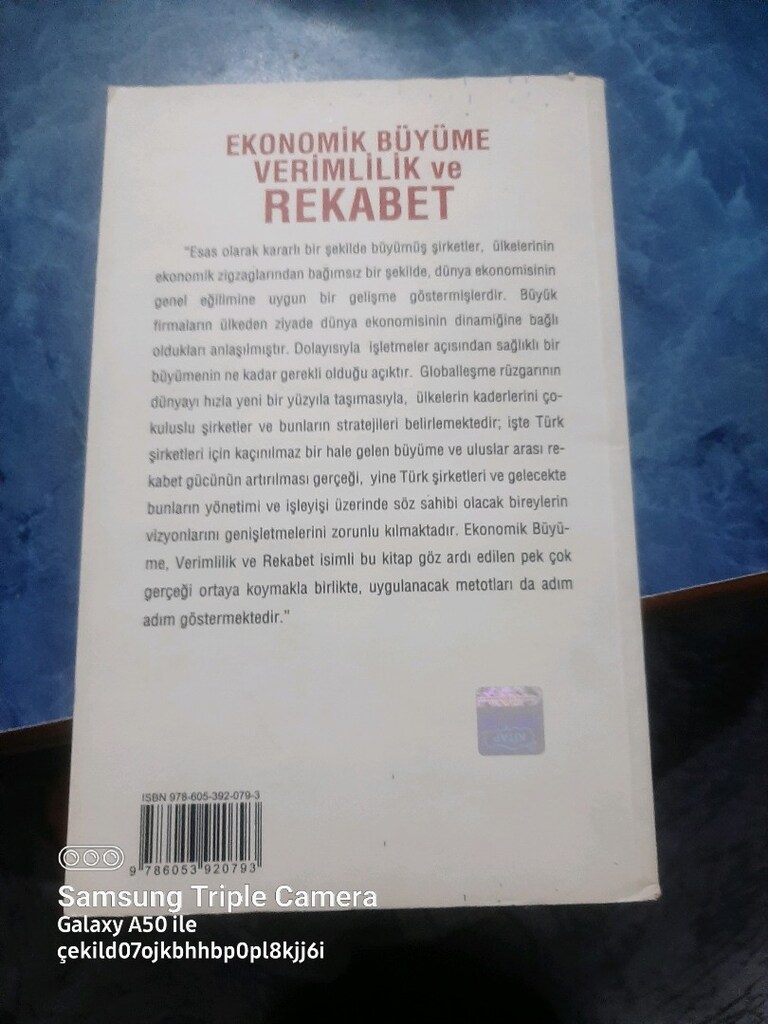 ekonomik büyüme verimlilik ve rekabet - 2