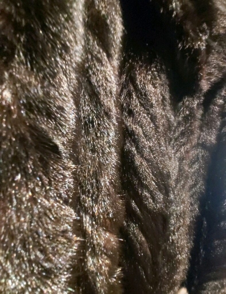 MODERN DESIGN FASHION BLACK VİZON PRIVATE LUXURY WOMEN FUR - 7