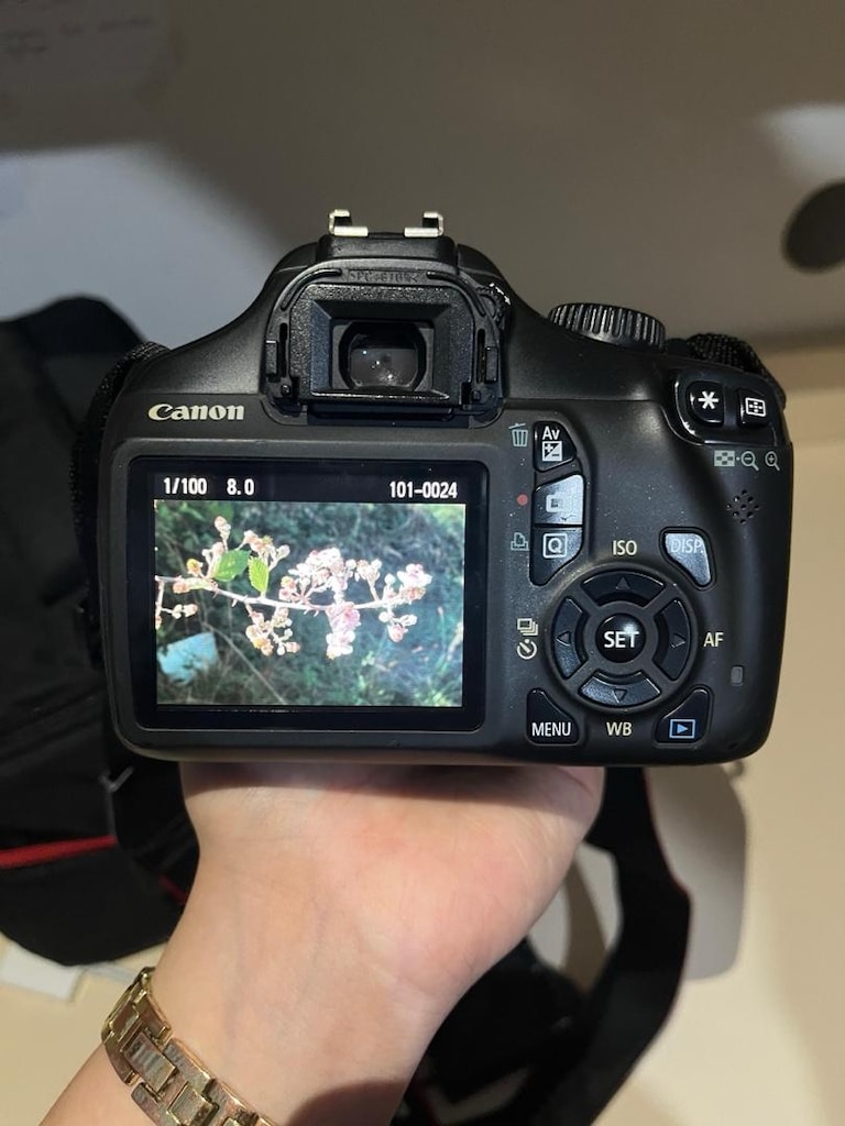Canon 1100D Profesyonel Fotoğraf Makinesi - 4