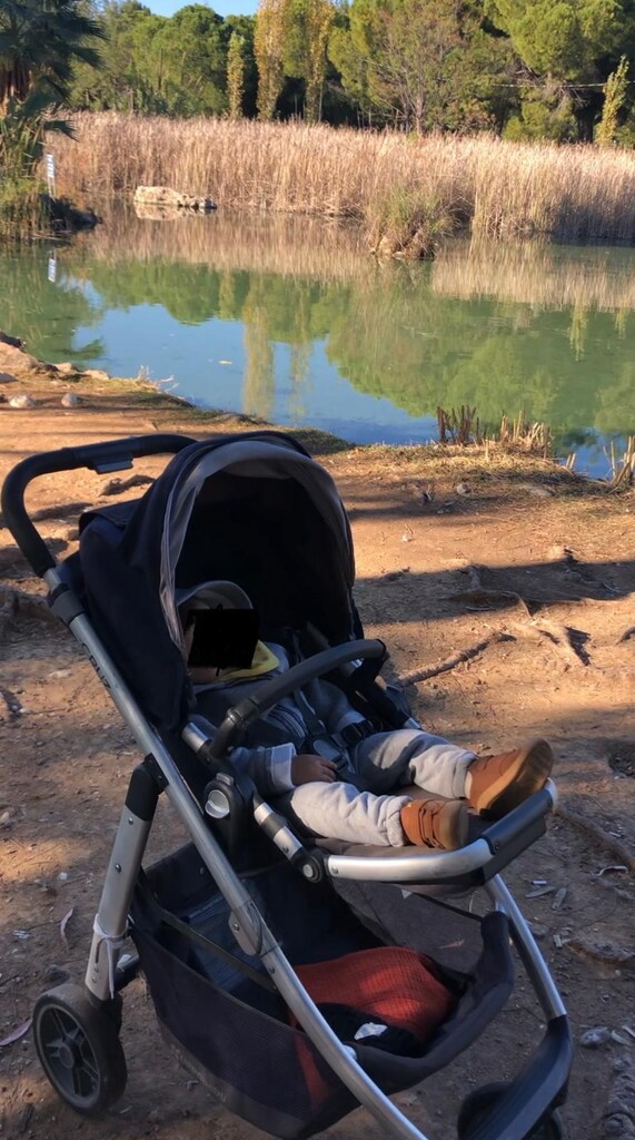 Alman Cruz bebek arabası - 2