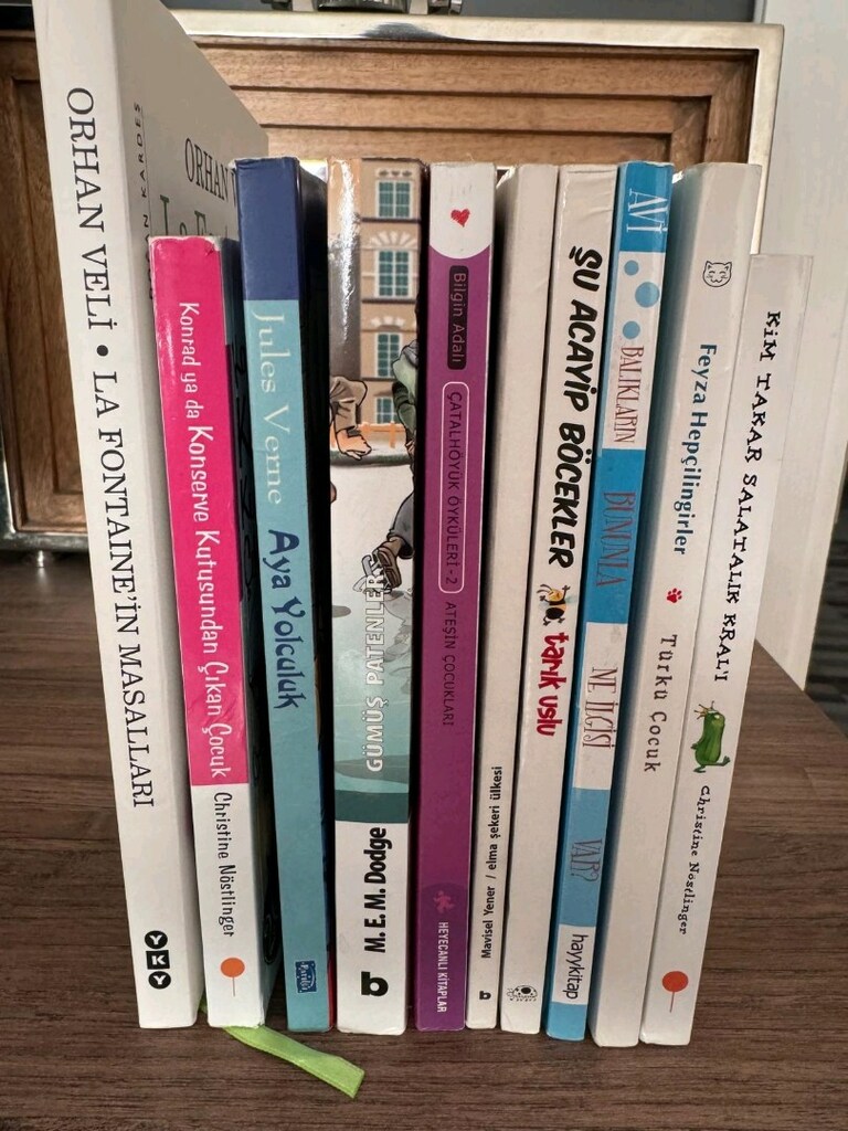 ORTAOKUL SEVİYESİNE UYGUN ÖNERİLEN 10 ÇOCUK KİTABI - 2