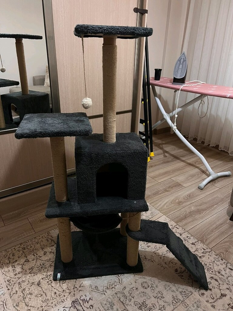 Kedi evi - 2
