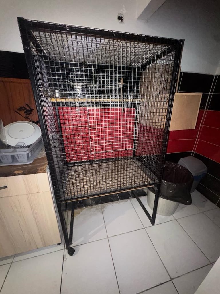 Büyük boy ev tipi ve üretim kafesi