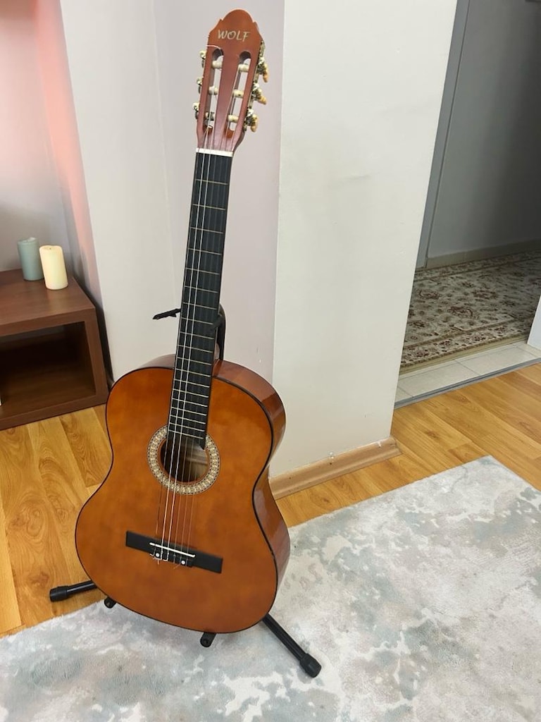 tertemiz klasik gitar - 2