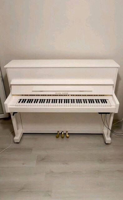 Konservatuvar Standartında Pearl River 118M -ADsilent Sistemli