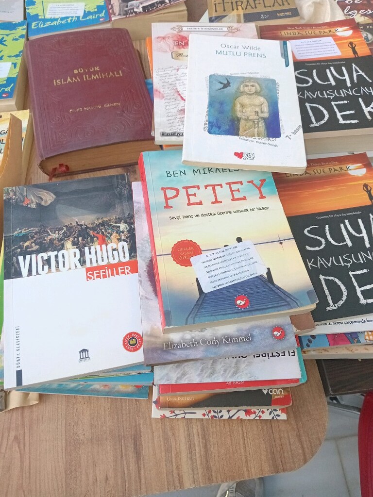 çeşitli roman kitaplari - 8