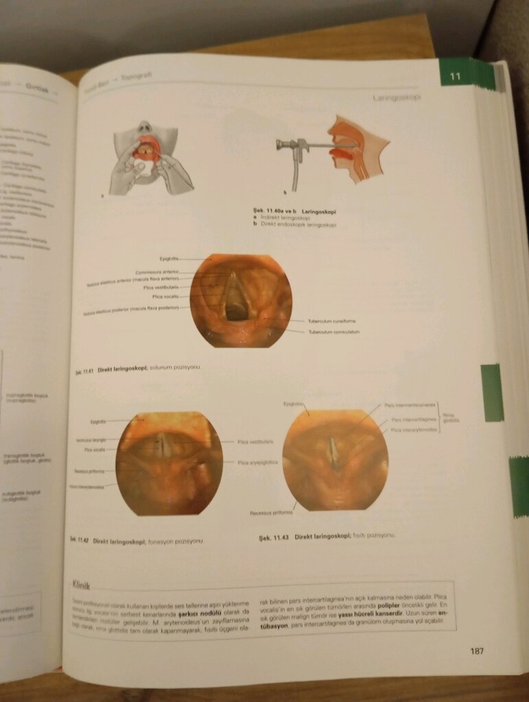 Sobotta İnsan Anatomisi Atlası - 5