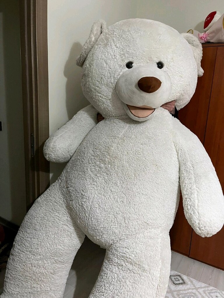 180 cm dev ayı - 3