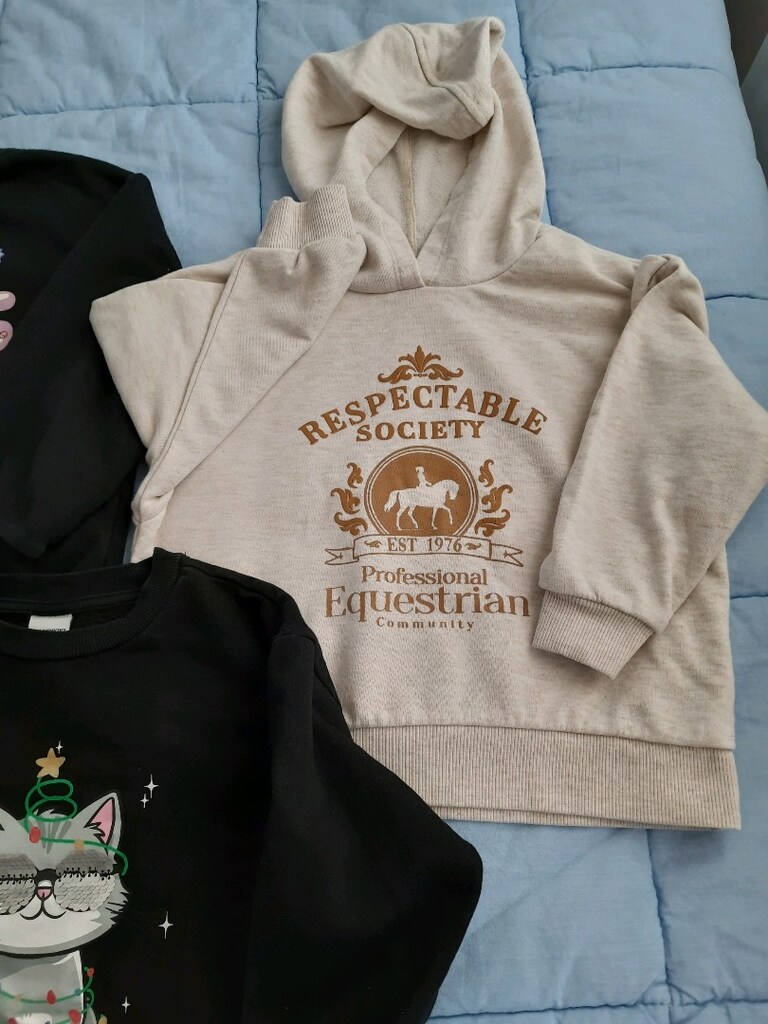 sweatshirtler 5,6 yaşa olurkiz cocuk 4 adet - 5