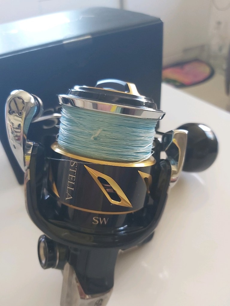 Shimano Stella SW6000PG - 2