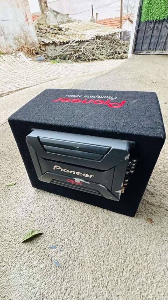 pıoner bass balık anfi - 8