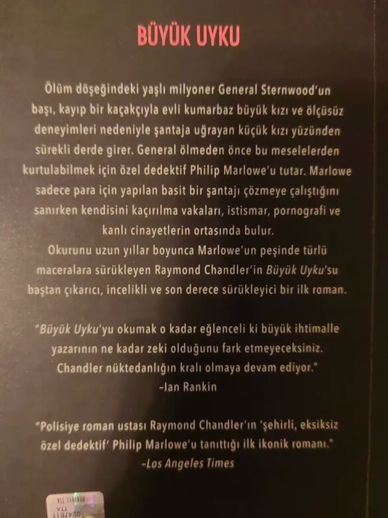 Büyük Uyku (Roman) - 3