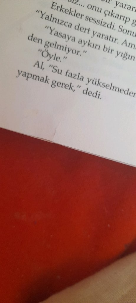 GAZAP ÜZÜMLERİ, JOHN STEİNBECK - 6