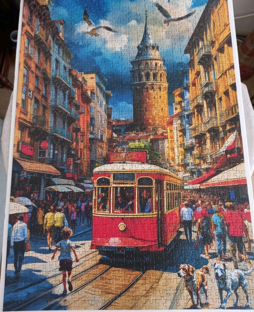 Zoe 1000 parça puzzle. - 3
