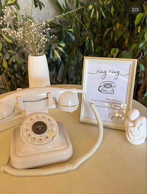 Anı kayıt telefonu