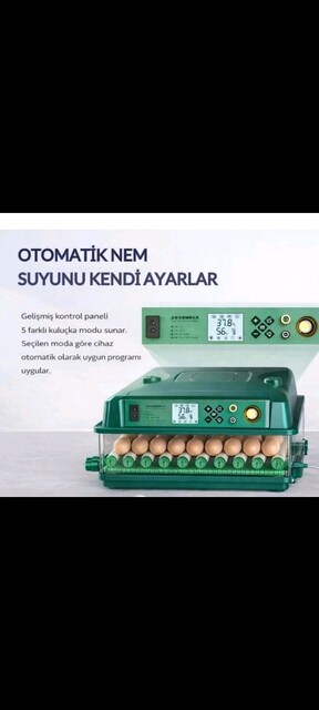 Tam otomatik kuluçka makinesi