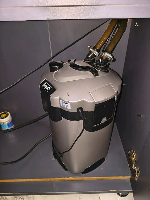 tetra 1200 dış filtre en sessiz