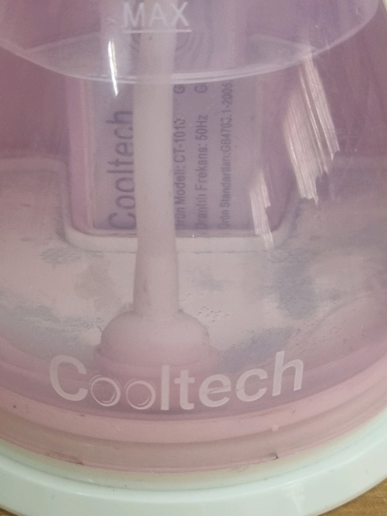 Cooltech {Pratik Dikey Buharlı Kırışık Giderici} - 3