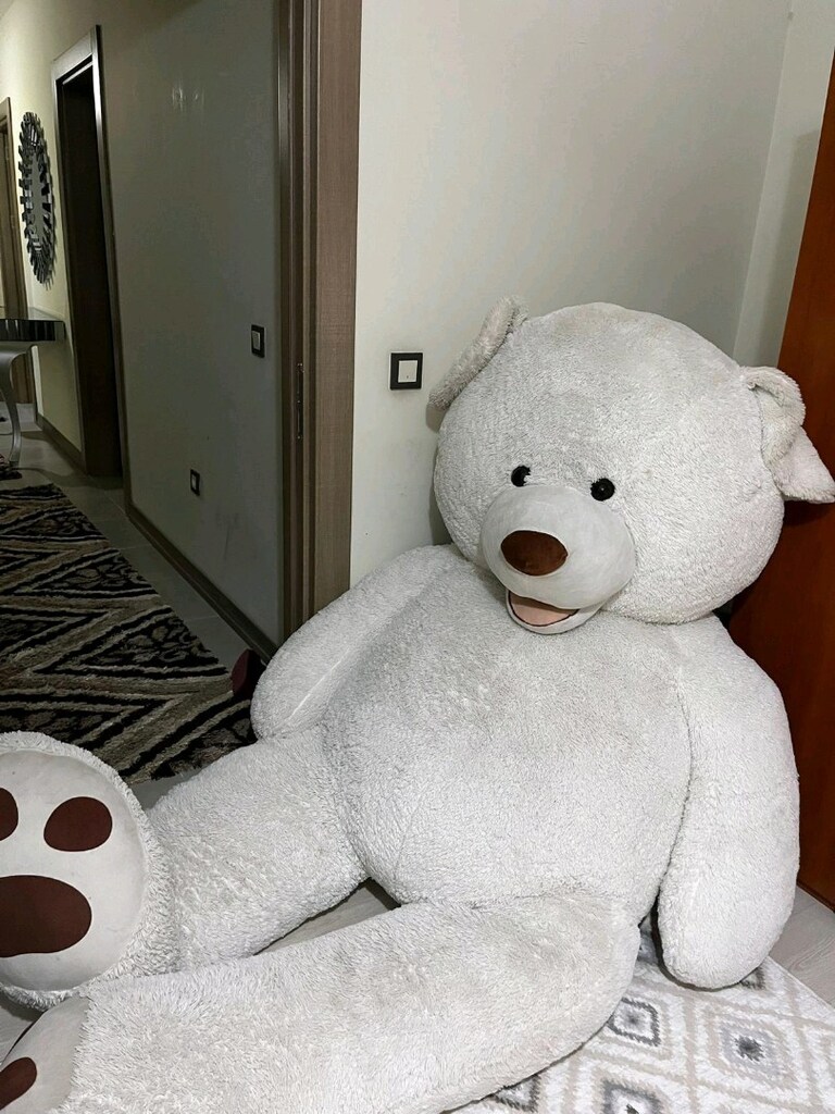 180 cm dev ayı - 6